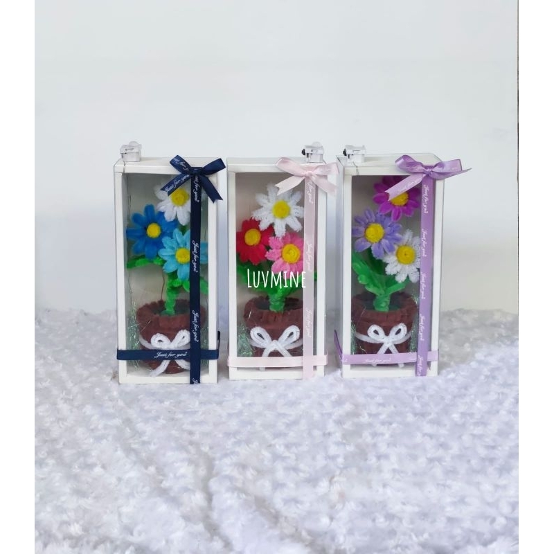 

pipe flowers box kado wisuda hadiah ulangtahun