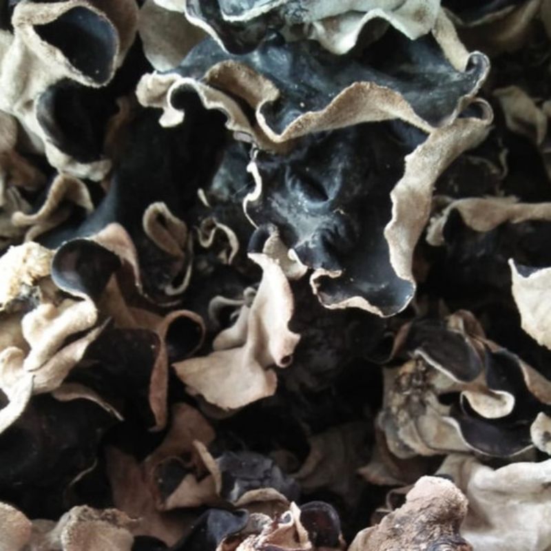 

Jamur kuping kering grade A kualitas super 1kg