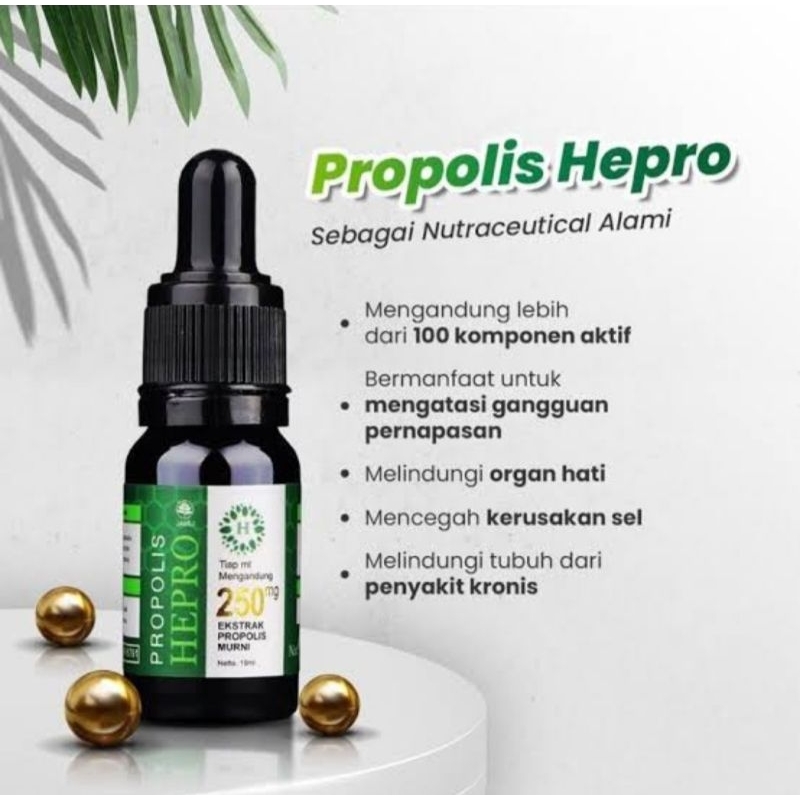 Propolis Hepro