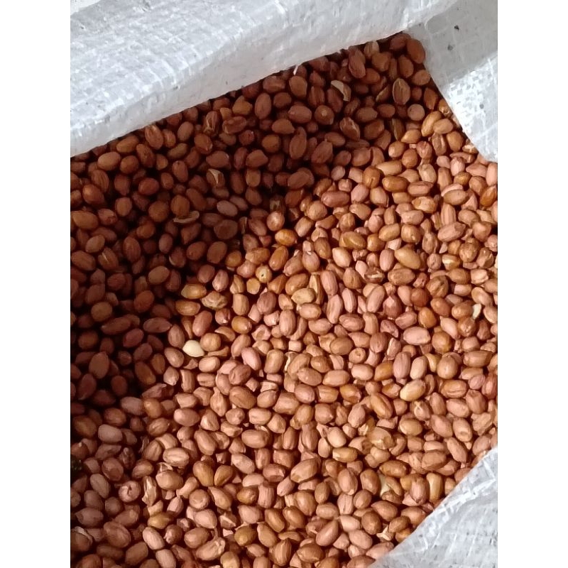 

kacang sambal GRADE A, 1kg,500,250/kacang pecel/kacang goreng