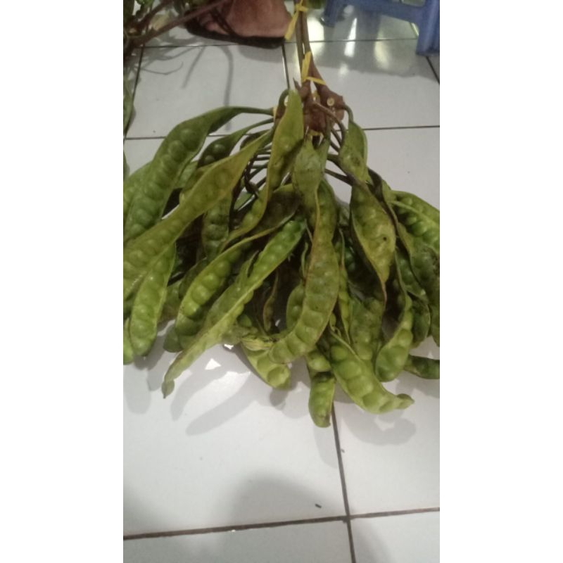 

pete kacang