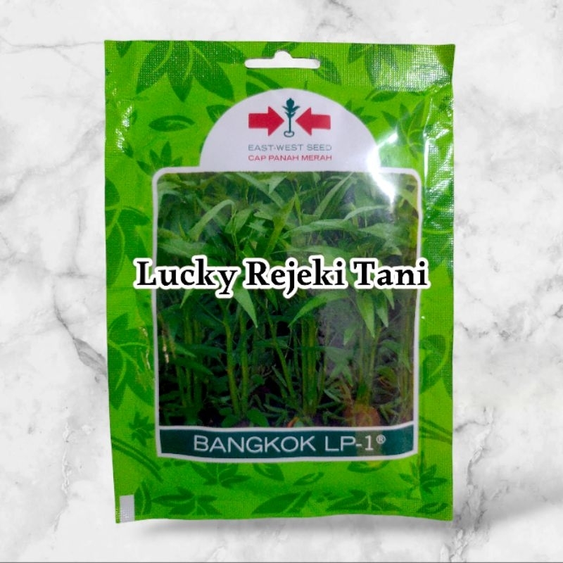 Benih Kangkung Bangkok - Panah Merah