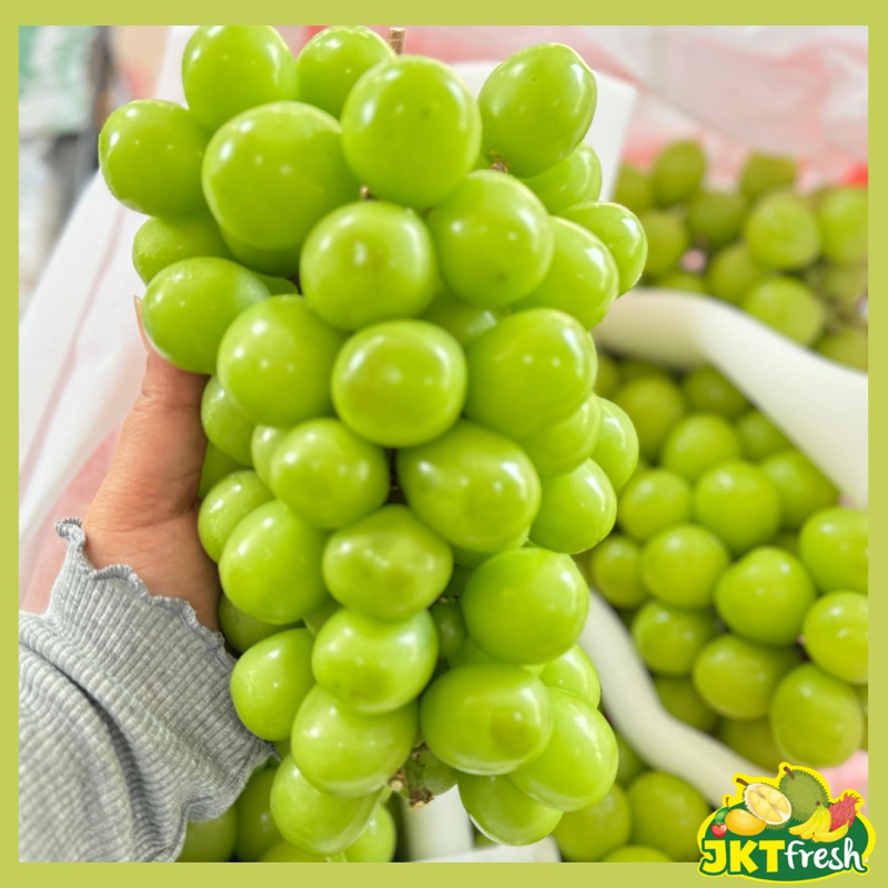 

Anggur Shine Muscat 800-900gr