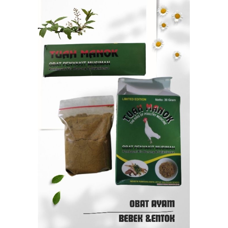 Jamu ayam bangkok herbal penyembuhan penyakit ayam entok bebek