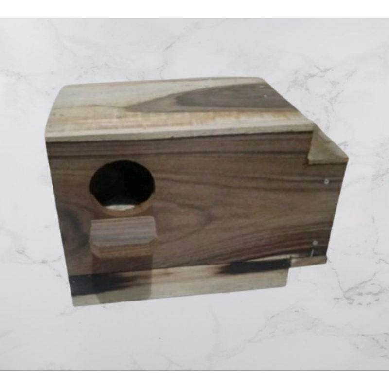 Glodok kaca/Glodok burung Lovebird dll.