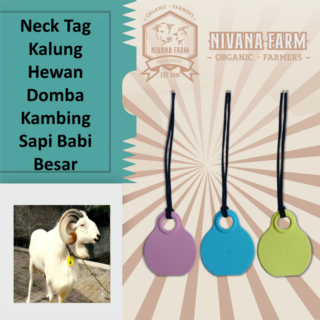 Neck Tag Kalung Hewan Domba Kambing Sapi Babi Besar