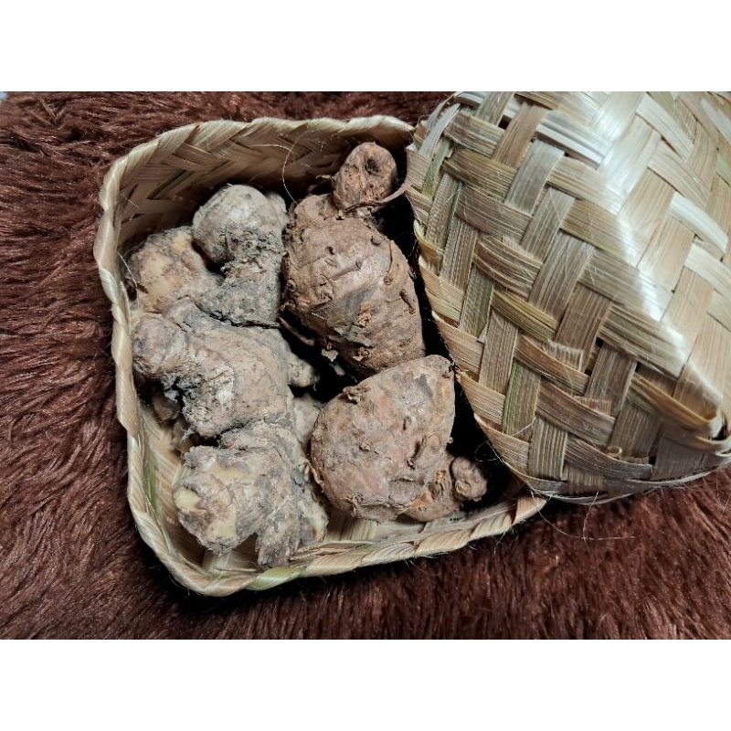 

Paket Jamu Empon-Empon | Biang Kunyit | Jahe