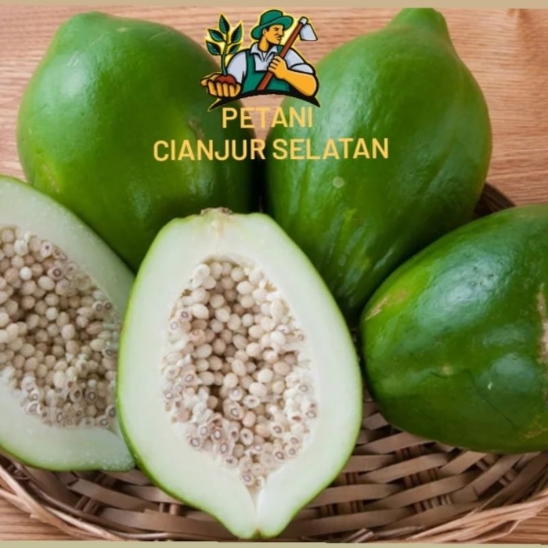 

Pepaya Sayur 1kg | Gedang Sayur | Pepaya Utuh | Pepaya Rebus