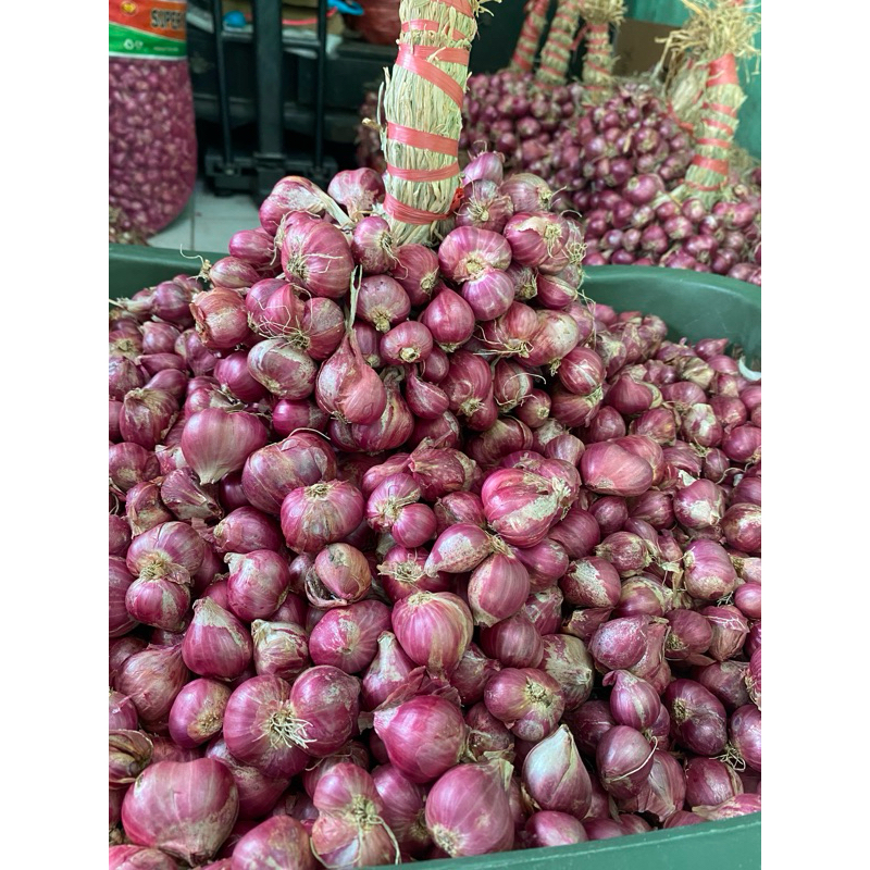 

Bawang Merah Probolinggo untingan 1kg