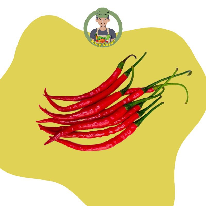 

Cabai Merah Keriting