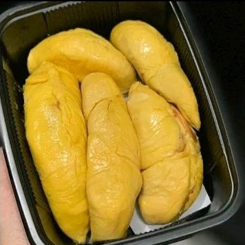 

DURIAN MUSANG KING ASLI PAHANG MALAYSIA PREMIUM