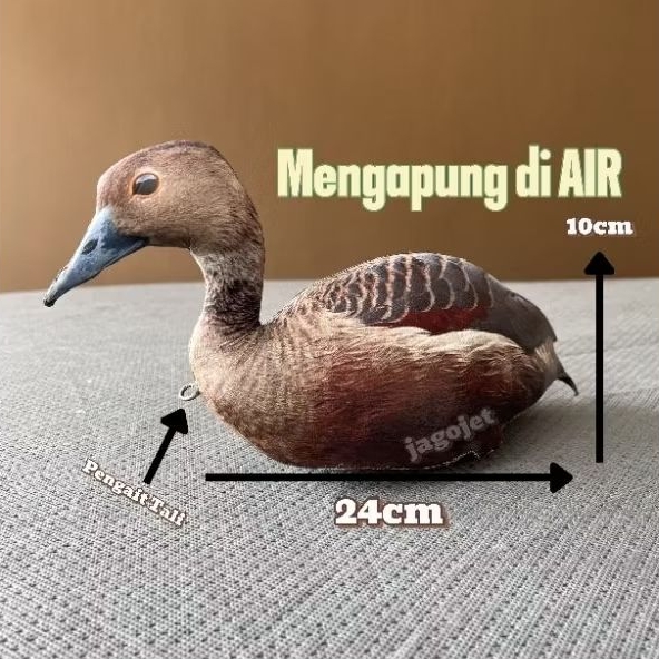 Jontrot Burung Belibis Polos - Belibis Batu