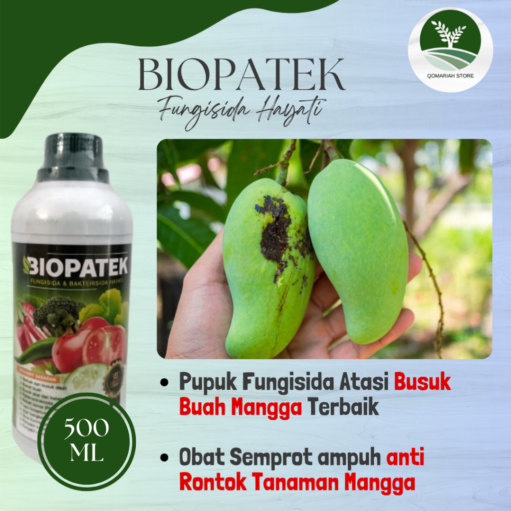 obat busuk buah mangga terbaik - BIOPATEK 500ML - Pupuk Semprot anti rontok tanaman mangga - Fungisi