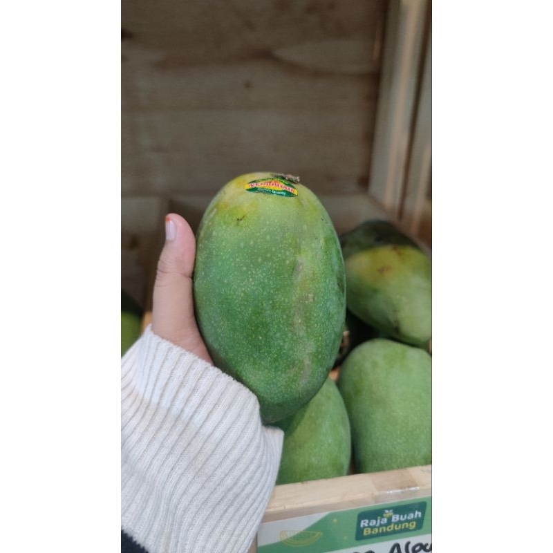 

Mangga Harumanis Alpukat Bali Super