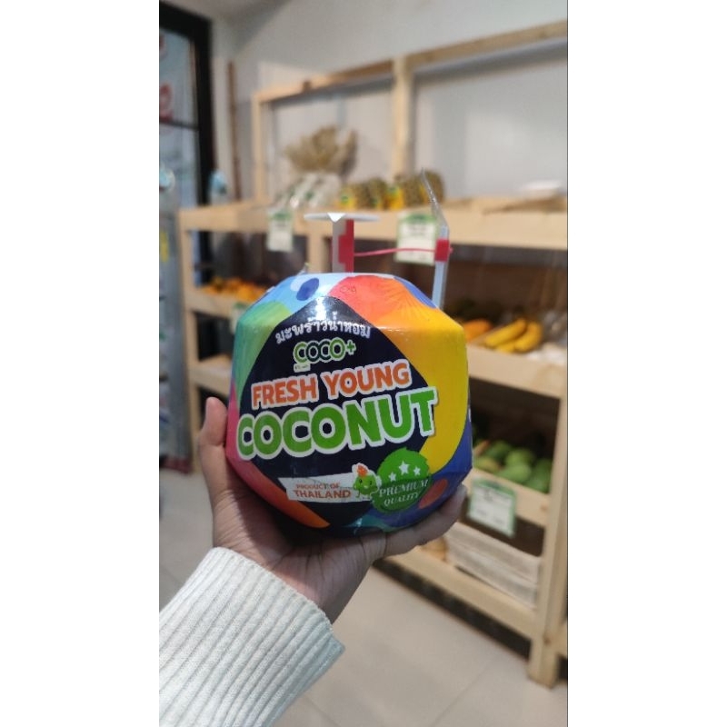 

Fresh Young Coconut Thailand