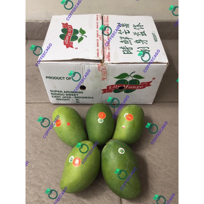 

Mangga Lily 1 Dus (5 KG) Fresh Import