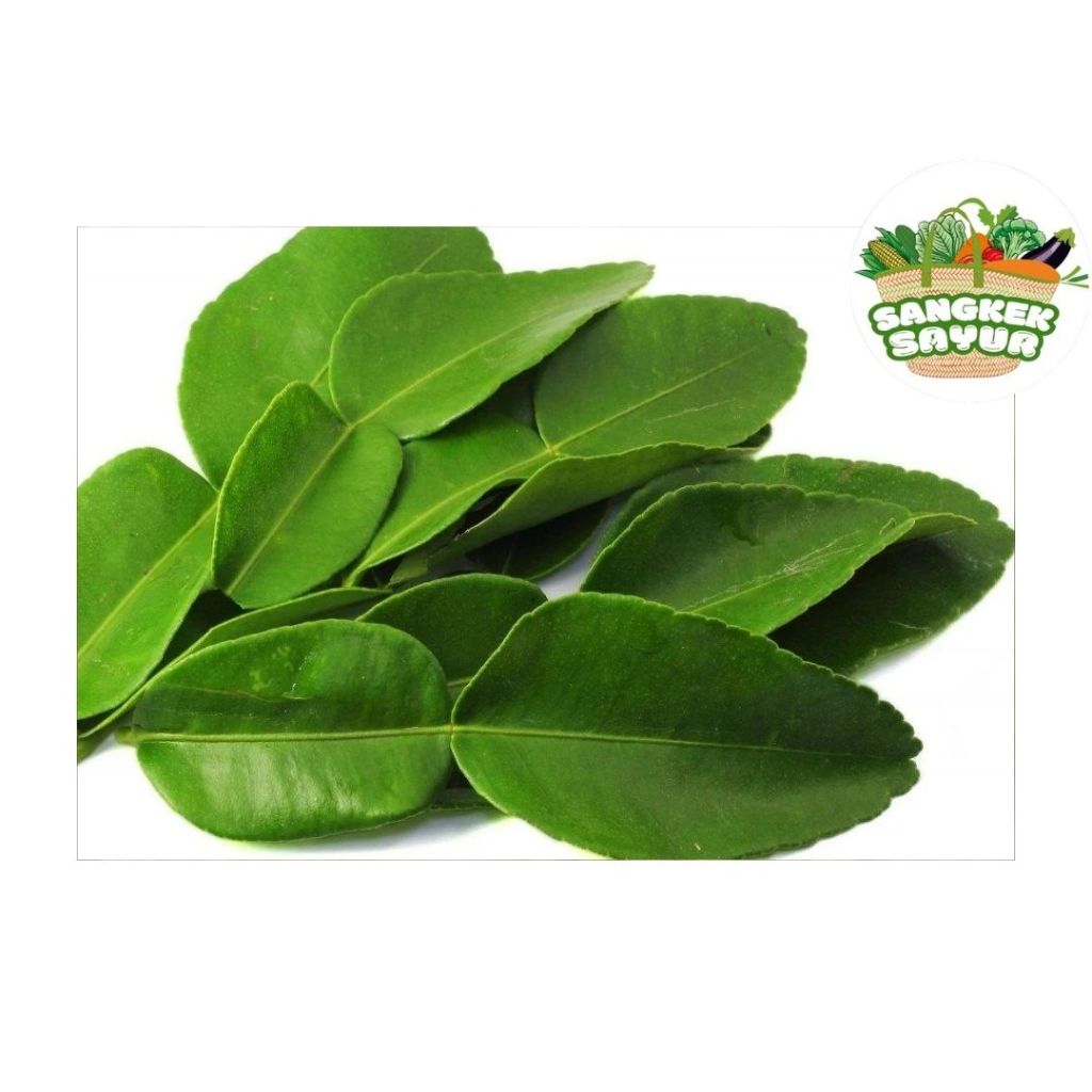 

Daun Jeruk per Bungkus - sangkek.sayur PALEMBANG