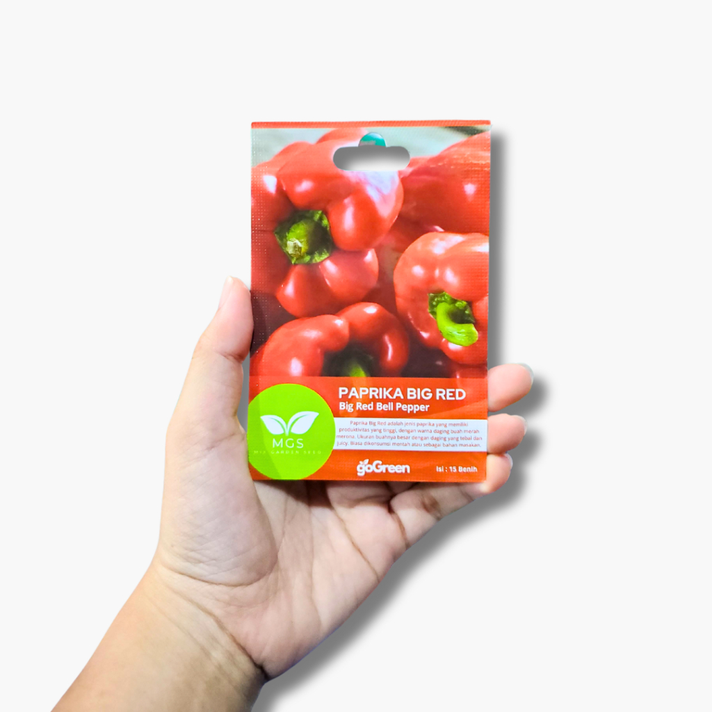 Benih Paprika Merah/Paprika Big Red Benih Murah/Benih Paprika Murah