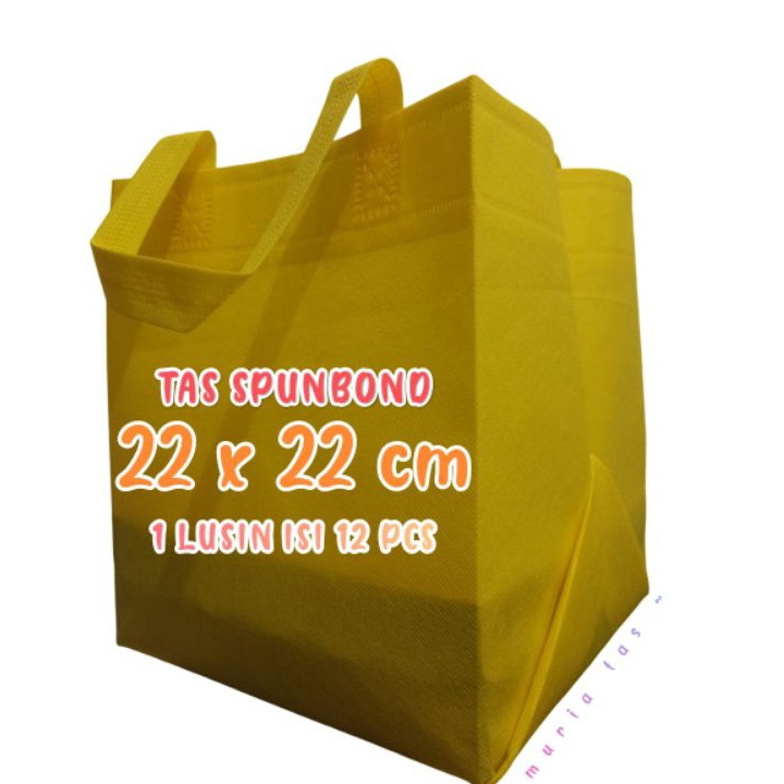 

1 LUSIN ISI 12 PCS TAS HAJATAN SPUNBOND 22X22 CM TINGGI 25 CM