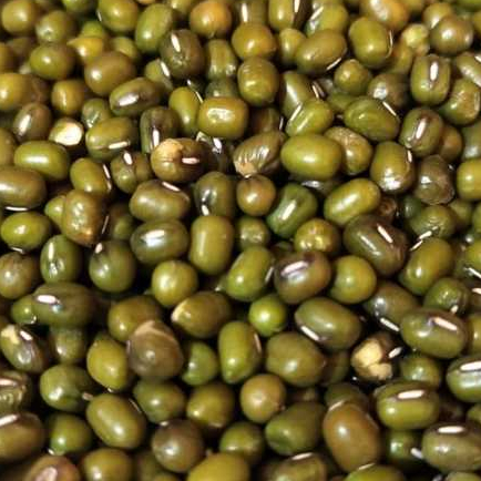 

kacang hijau yulek birma super 500gr