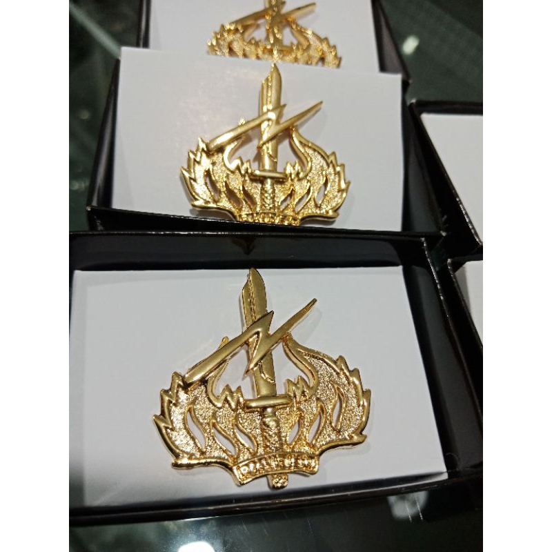 WING PDH / BRIVET PDH RAIDER