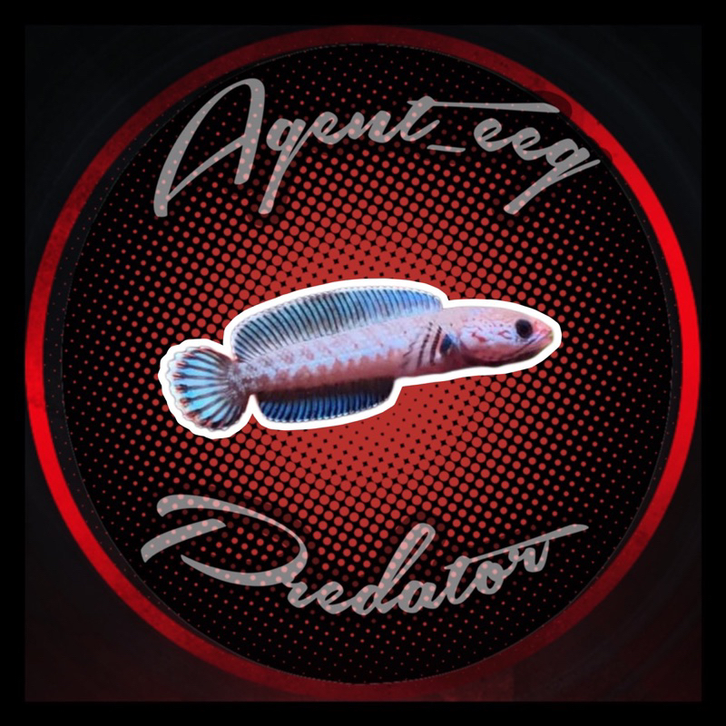 

ANDRAO KUALITAS BAHAN GONDROG