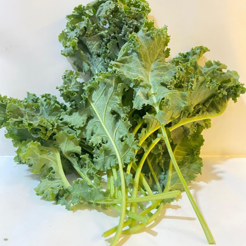 

sayur kale