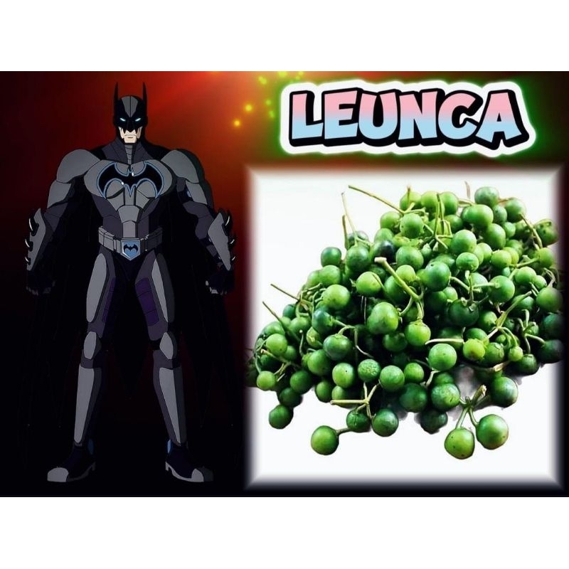 

leunca 250 gram/ lenca