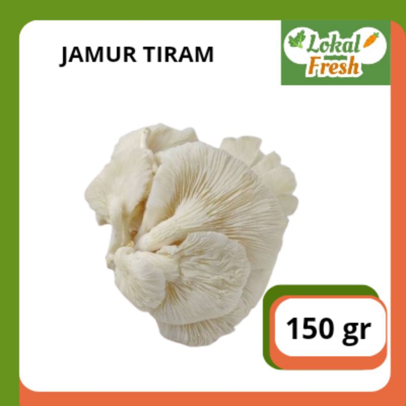 

JAMUR TIRAM | 1 BUNGKUS | 150 gr | LOKAL FRESH SBY