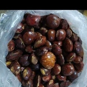 

jengkol tua legit ukuran 1kg dan 1/2 kg