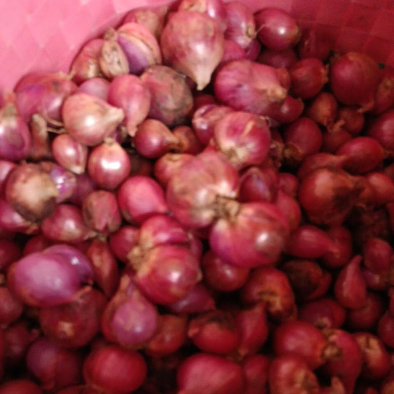 

bawang merah nganjuk besar tanggung 500 gram