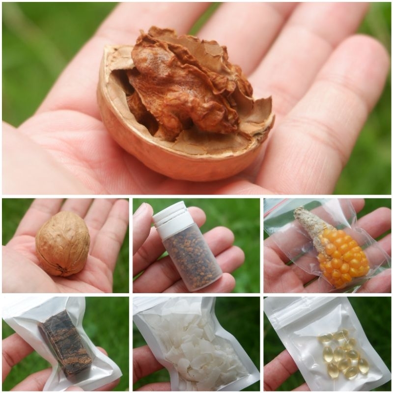 ANEKA SNACK / CEMILAN HAMSTER