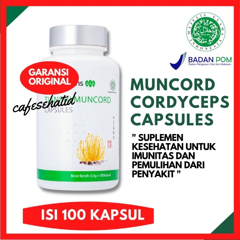 MUNCORD CORDYCEPS TIENS / TIANSHI ORIGINAL