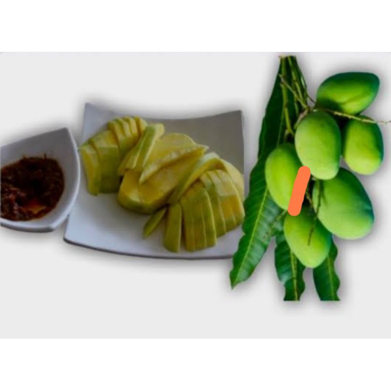 

rujak mangga muda manalagi 3 buah dan sambal kacang