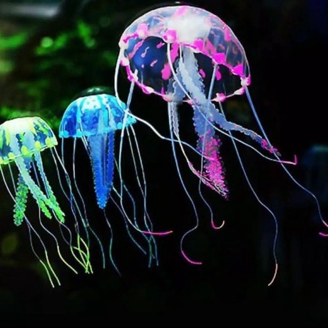 Kejutan Minggu Ini  hiasan aquarium ubur ubur hiasan aquarium jelly fish jelly fish aquarium ubur ub