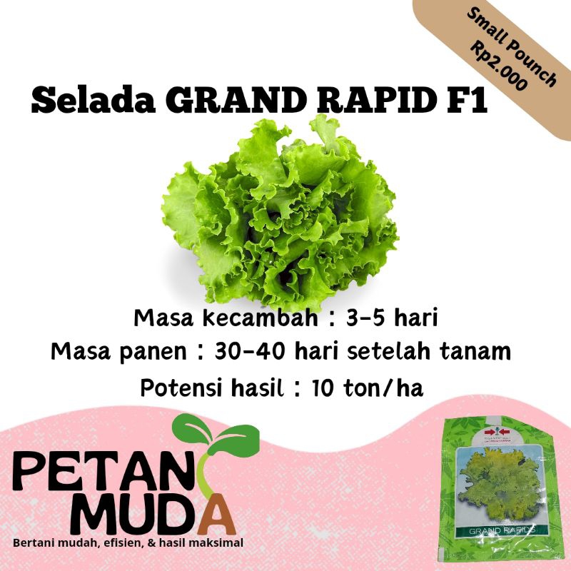 

benih sayur dan buah COD termurah stok terbatas