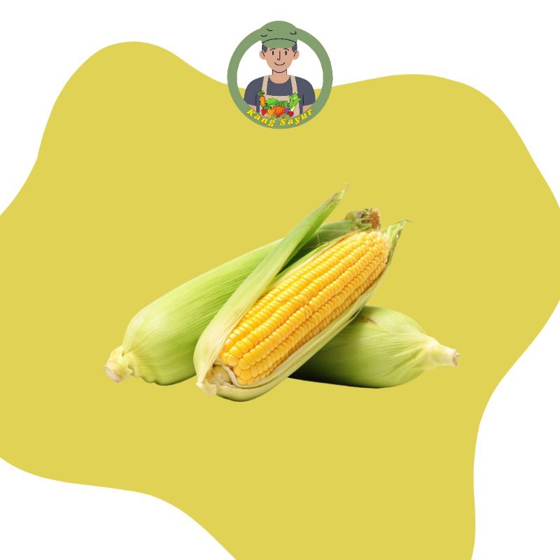 

Jagung Kulit