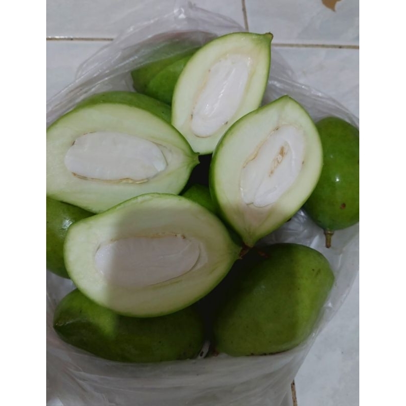 

1kg Mangga Muda, Mangga Rujak, Mangga mengkel, Mangga Jamson, Mangga Asem
