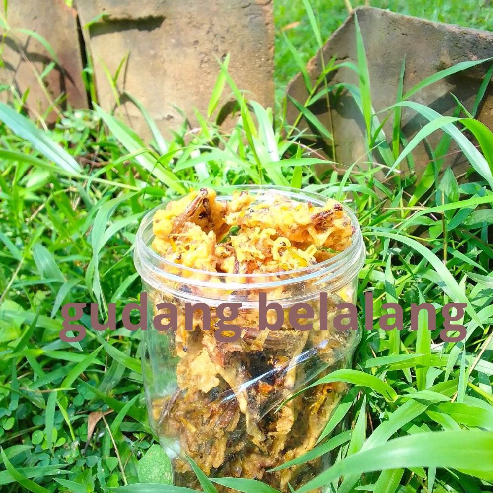 

cemilan premium peyek belalang utis viral bisa bayar di tempat