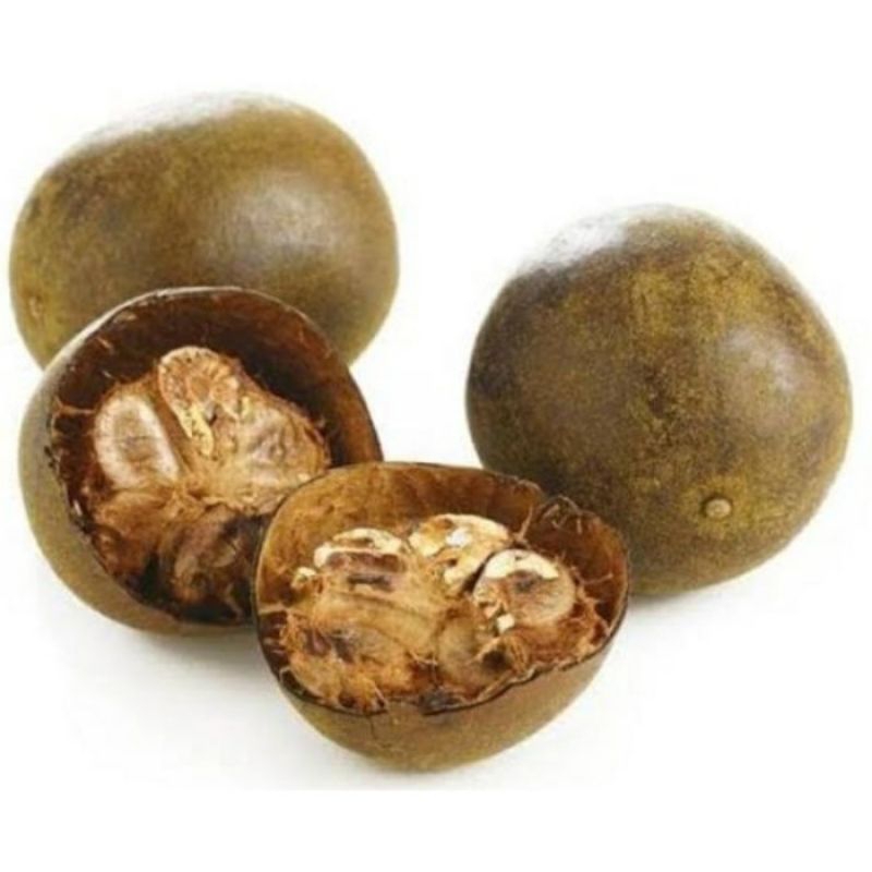 

Lohankuo Buah 1 biji Lohanguo Buah
