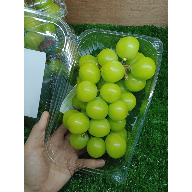 

Buah Anggur shine muscat pack