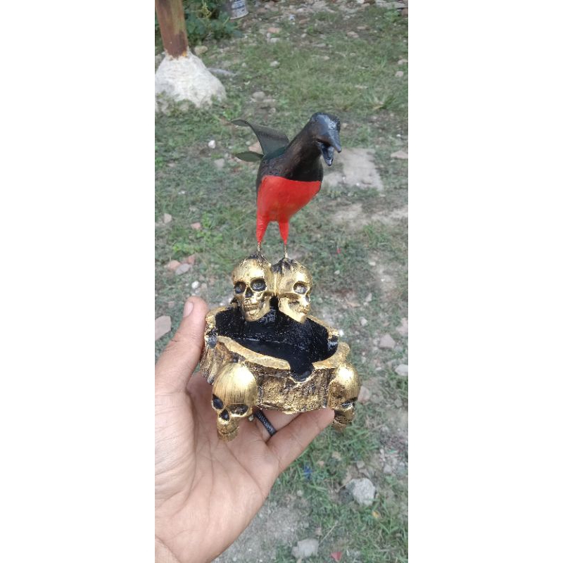 asbak murai tengkorak