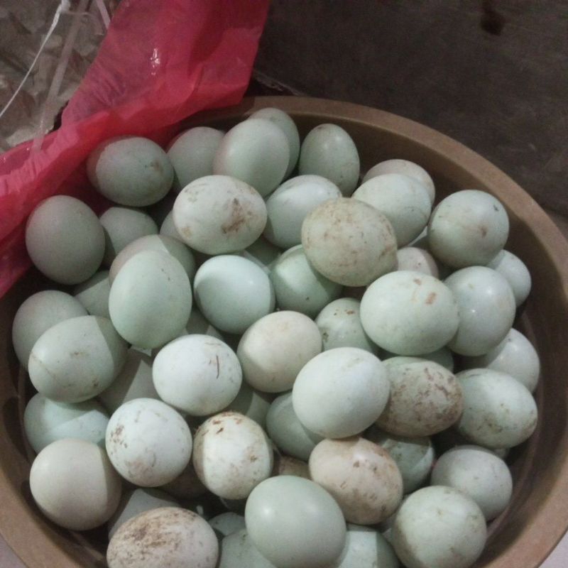 

Telur Bebek Mentah grade Super