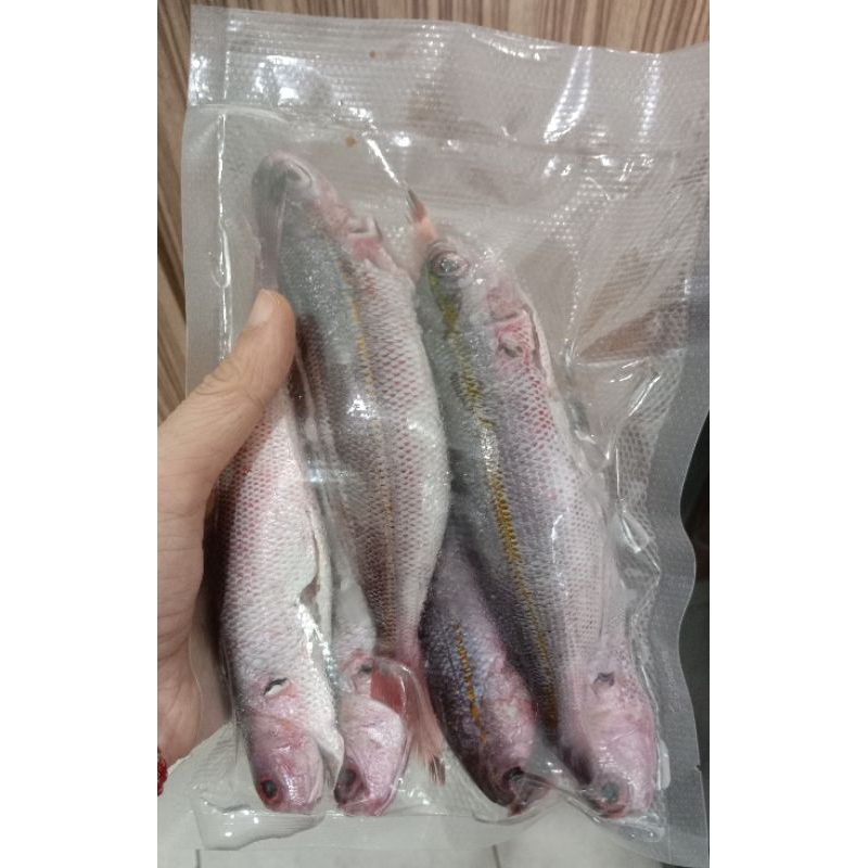 

Ikan Pisang 500gr