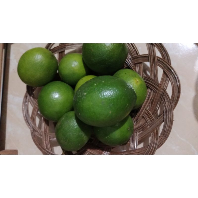 

Lemon California segar 1 kg