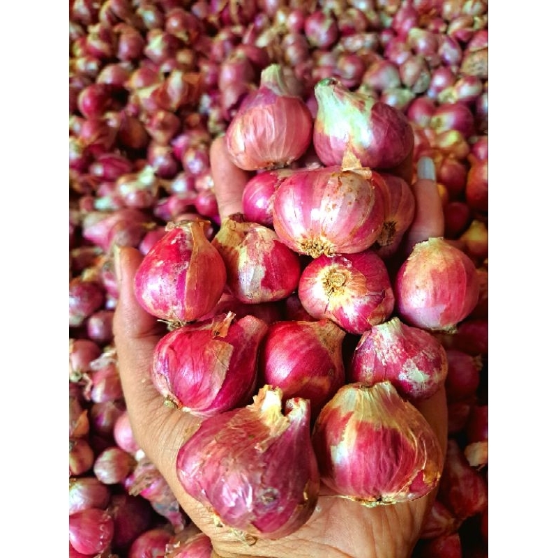 

Bawang merah super 1 kg