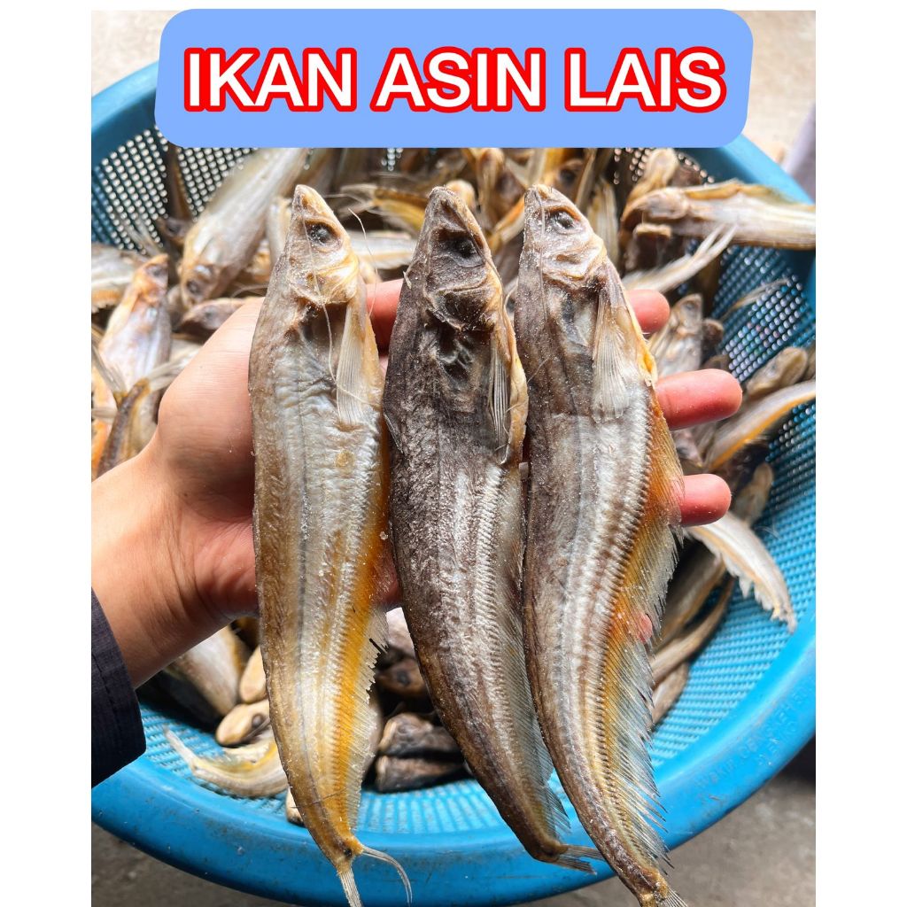 

Ikan Asin Lais 100 Gram - Nikmat dan Gurih Rasa Asin Yang pas Kwalitas Terbaik
