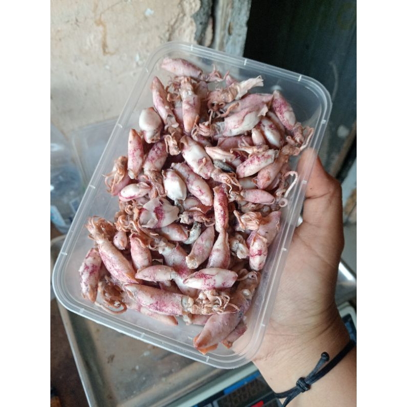 

baby cumi asin rebus bertelur