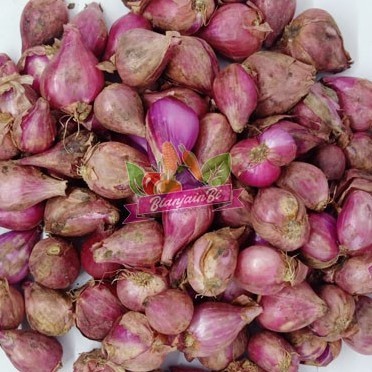 

Bawang Merah Brebes 100 gram