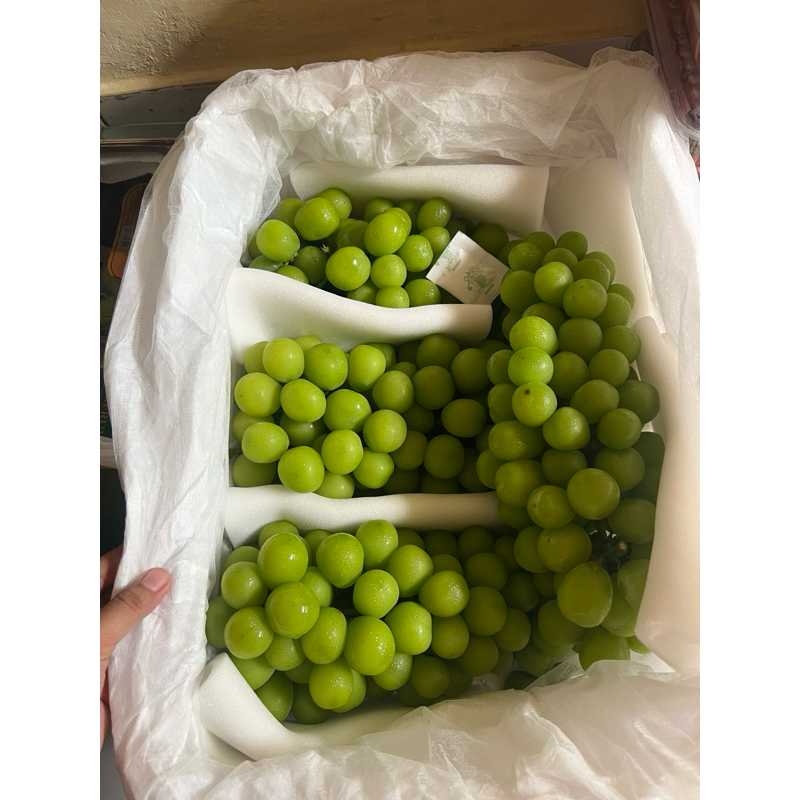 

Anggur Muscat 1 kg